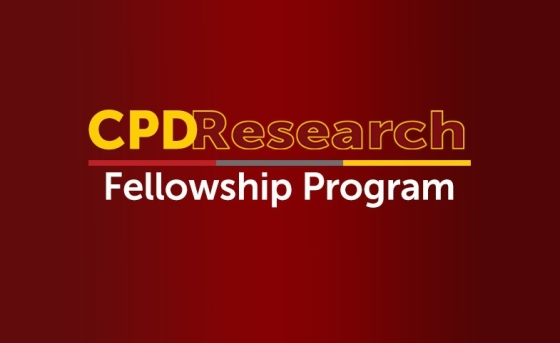 University of South Carolina Center on Public Diplomacy Research Fellowship Program