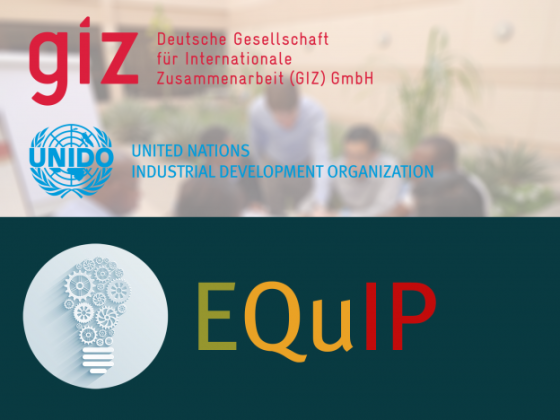 GIZ and UNIDO EQuIP Training of Trainers