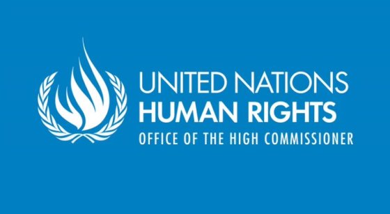United Nations High Commissioner for Human Rights